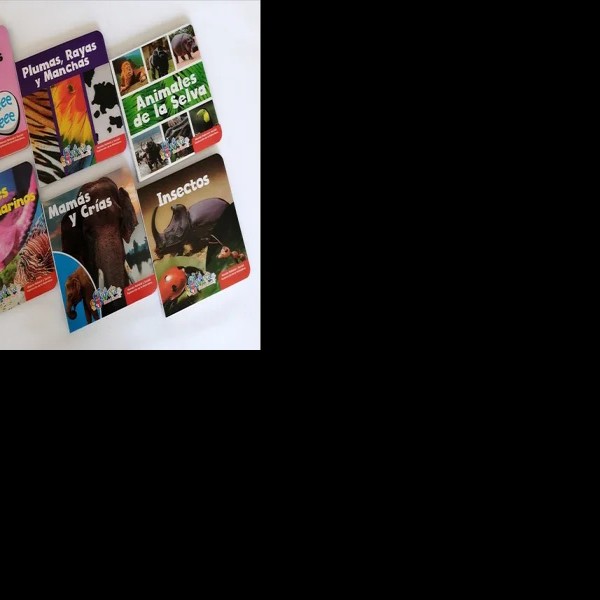 LIBRO ANIMALES EN CARTON C6T 0902 C.12